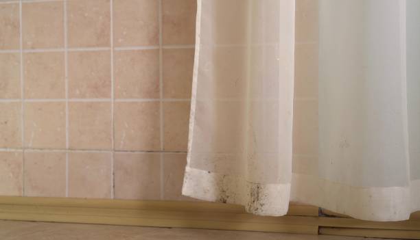 Best Water Damage & Mold Remediation  in Highland Beach, FL