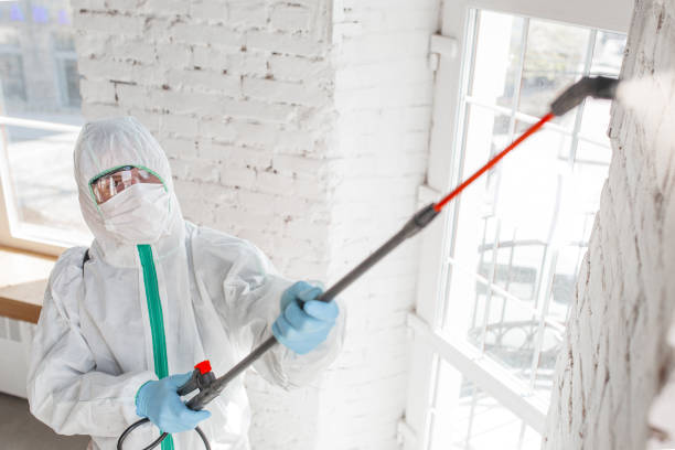 Best Real Estate Mold Inspection  in Highland Beach, FL