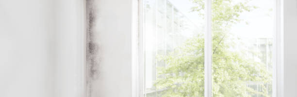 Forensic Mold Investigation in Highland Beach, FL